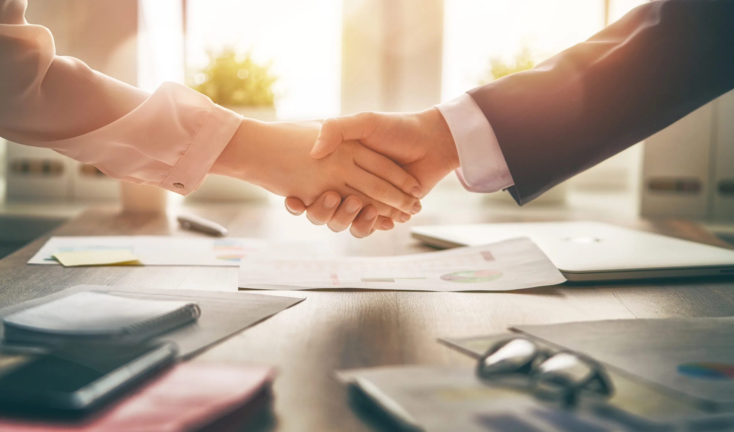 Expert Contabil Timișoara – Înființare SRL, PFA & Contabilitate 6 Infiintare firme Timisoara